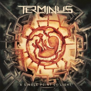 TERMINUS-A-Single-Point-of-Light-LP-BLACK.jpg